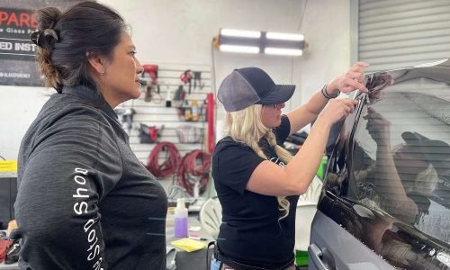 ONYX COATING window film training